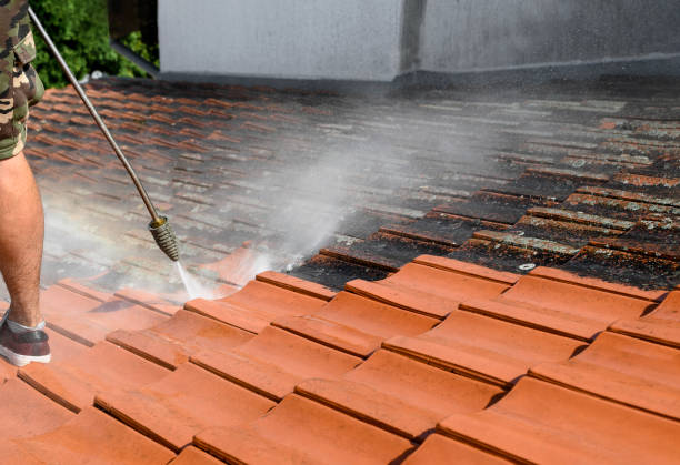 Best Power Washing Near Me  in West Mayfield, PA