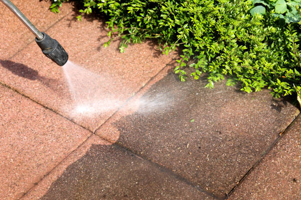 Best Affordable Pressure Washing  in West Mayfield, PA